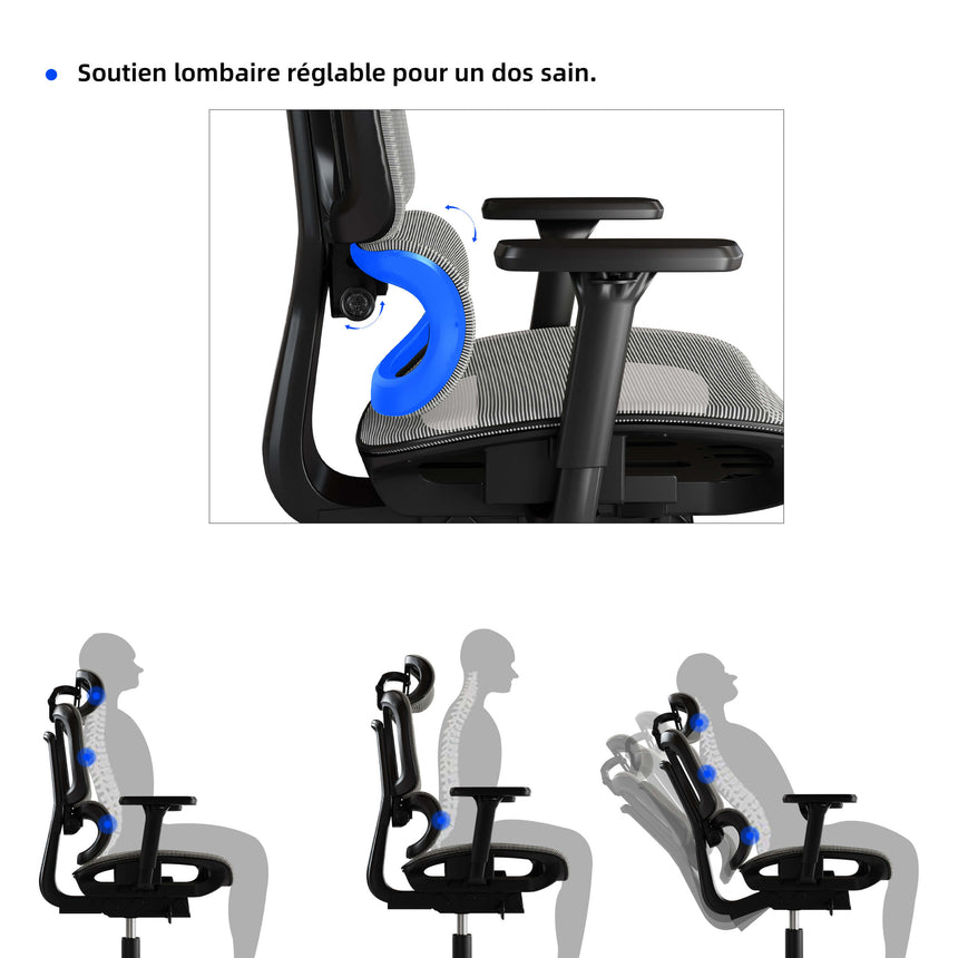 Support lombaire réglable