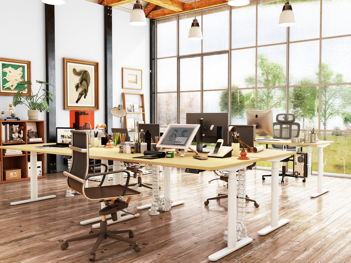 Maidesite EL2 Pro Art - Bureau assis debout électrique