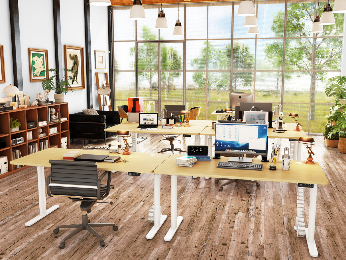 Maidesite EL2 Pro Art - Bureau assis debout électrique