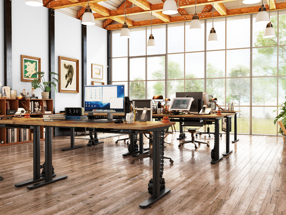 Maidesite EL2 Pro Art - Bureau assis debout électrique