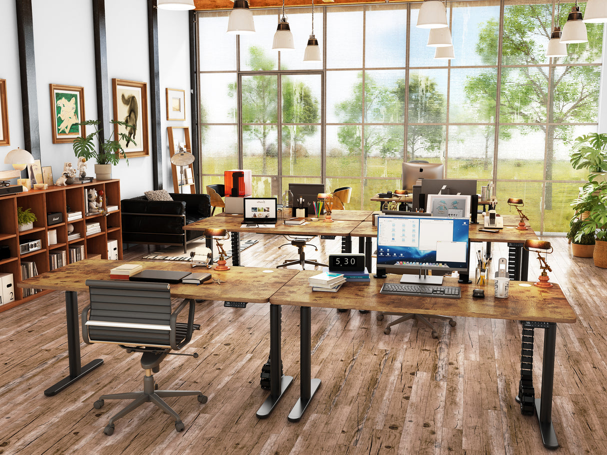 Maidesite EL2 Pro Art - Bureau assis debout électrique