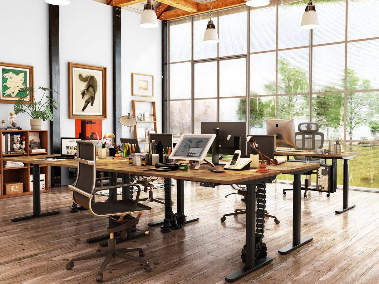 Maidesite EL2 Pro Art - Bureau assis debout électrique