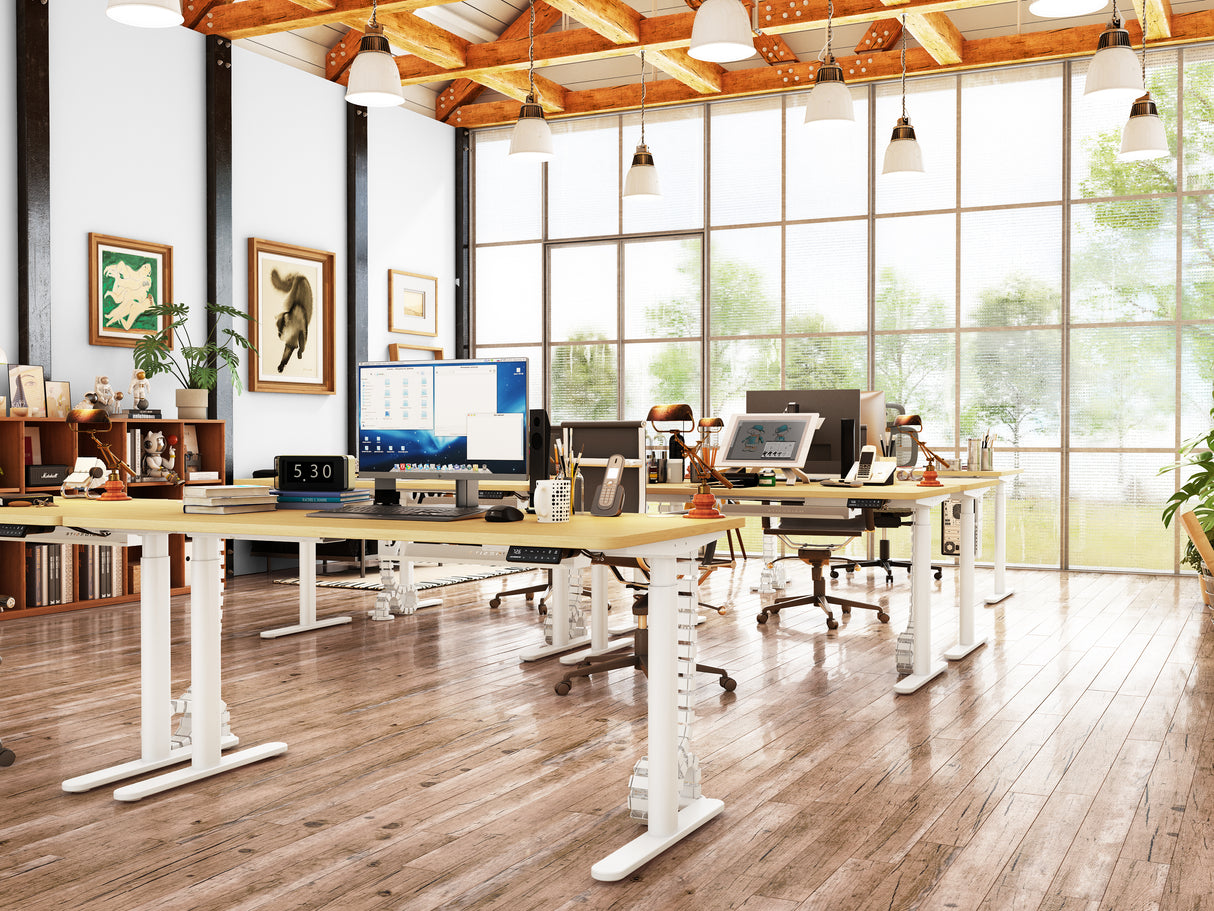 Maidesite EL2 Pro Art - Bureau assis debout électrique