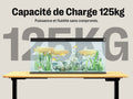 Bureau debout électrique Maidesite T2 à double moteur