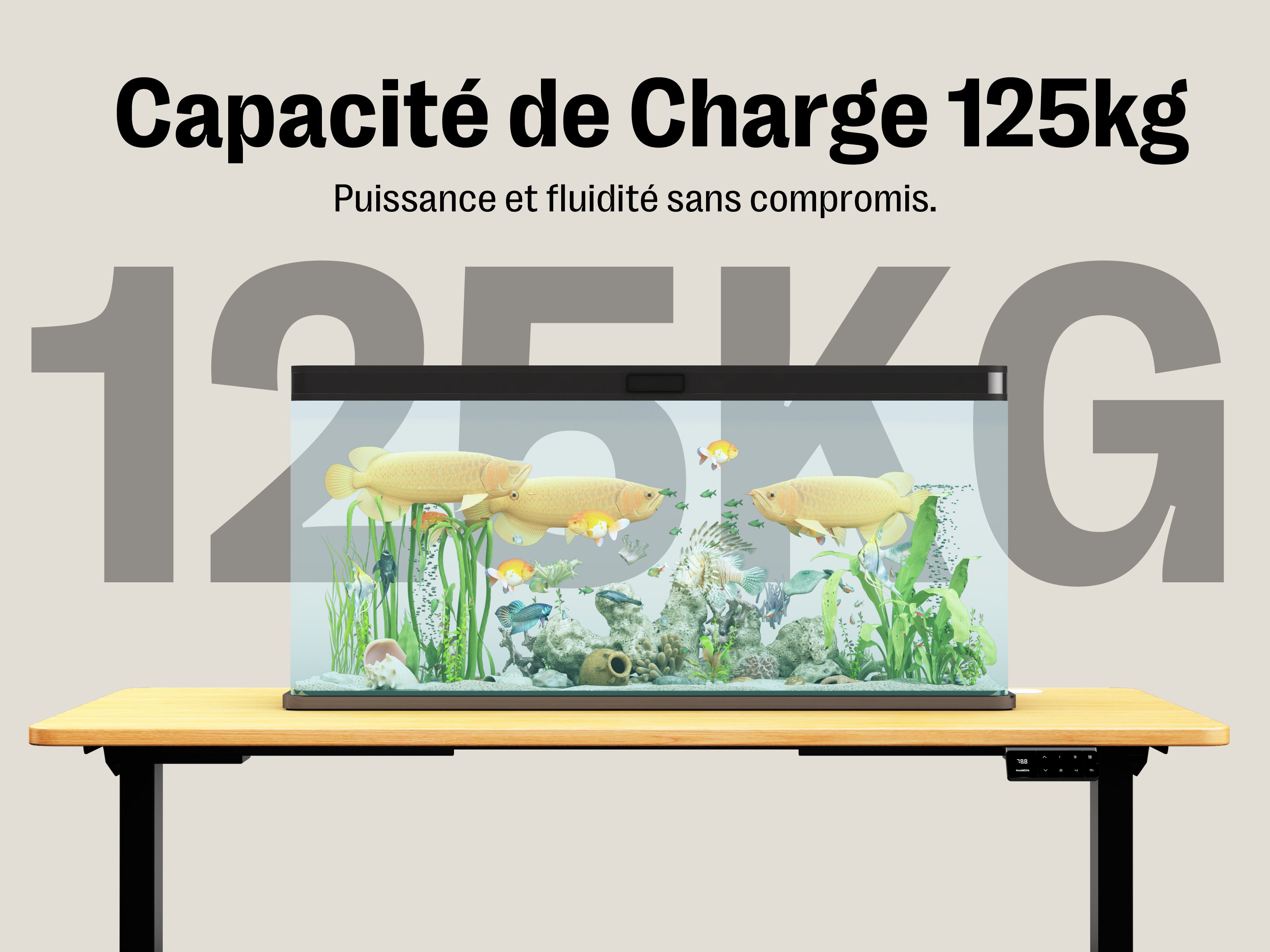 Bureau debout électrique Maidesite T2 à double moteur