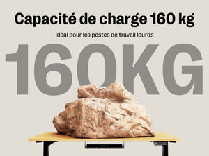 Maidesite T2 Pro Plus - Bureau assis debout électrique