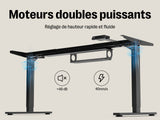Maidesite T2 Pro - Châssis réglable en hauteur électriquement