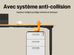 Maidesite T2 Pro Plus - Bureau assis debout électrique