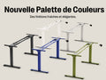 Bureau debout électrique Maidesite T2 à double moteur