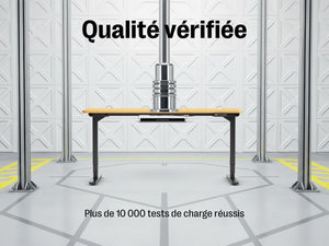 Maidesite T2 Pro Plus - Bureau assis debout électrique