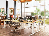 Maidesite EL2 Pro Art - Bureau assis debout électrique