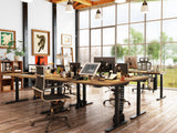 Maidesite EL2 Pro Art - Bureau assis debout électrique